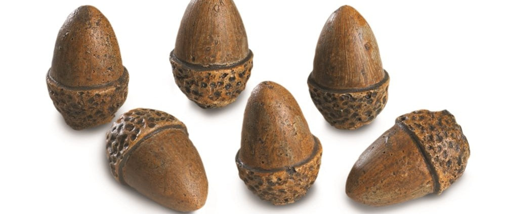 6-Packs of Acorns (6 per pack)