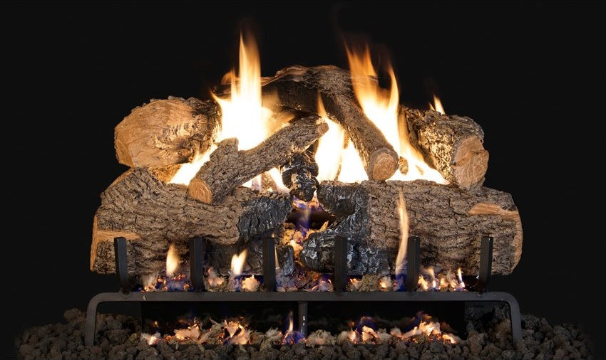 24" CHARRED ANGEL OAK