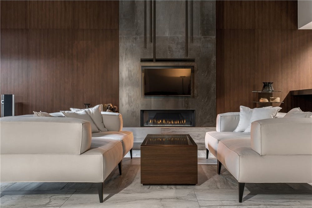 Montigo Distinction D4815NI-2 Single-Sided Linear Gas Fireplace, 48"