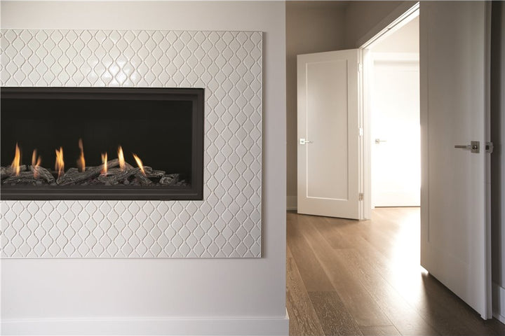 Montigo DelRay 48" Direct Vent Linear Gas Fireplace