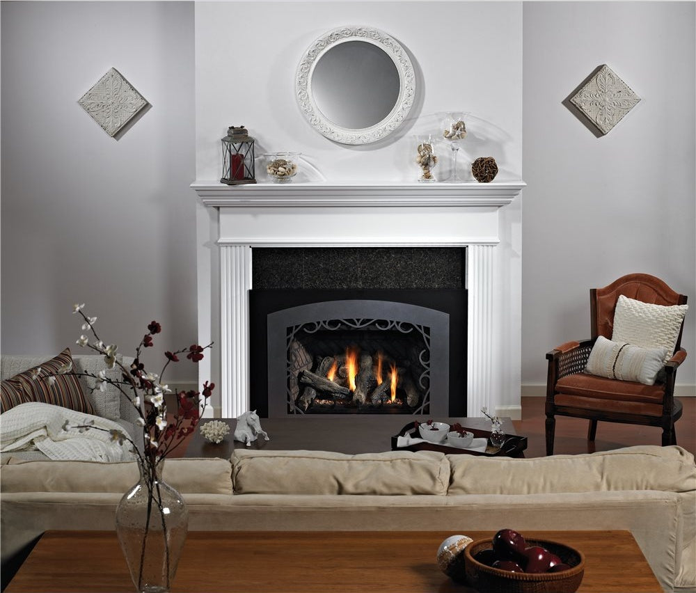 Empire Comfort Systems Innsbrook DV CleanFace Fireplace Insert