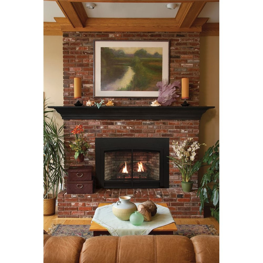 Empire Comfort Systems Innsbrook DV Clean-Face Medium Fireplace