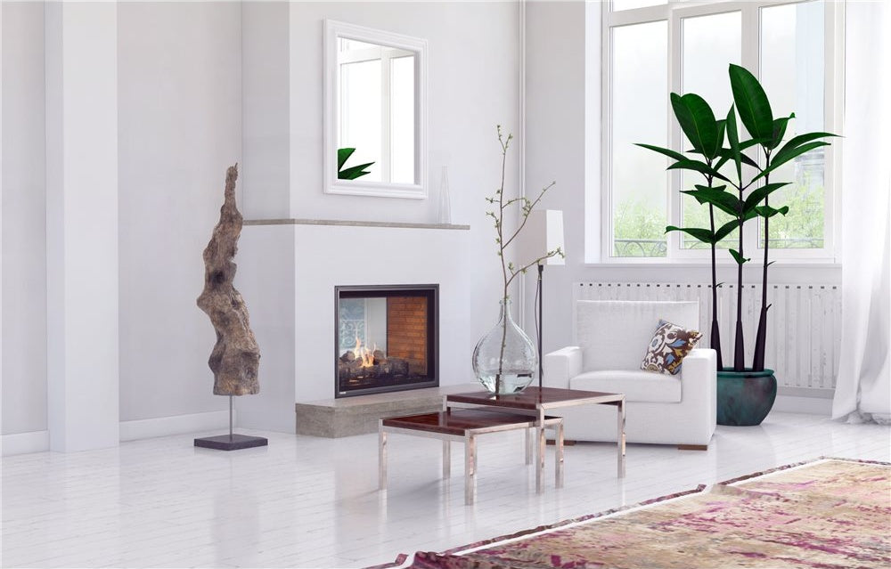 Montigo Divine H42 See-Through Fireplace