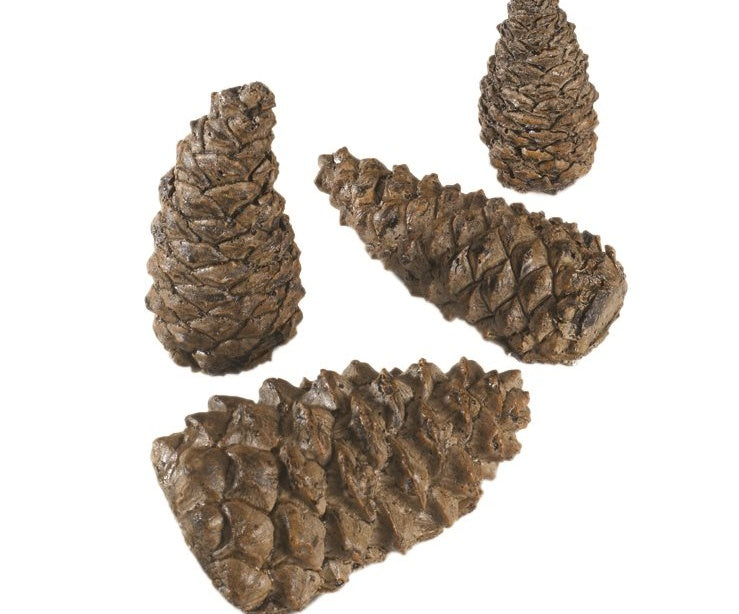 4 WILDERNESS PINECONES,6P
